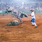 whatsapp image 2024 08 31 at 21.58.56 1 scaled