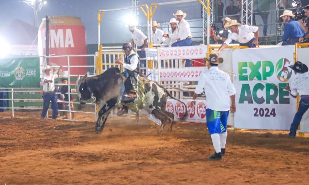 whatsapp image 2024 08 31 at 21.58.57 1024x683