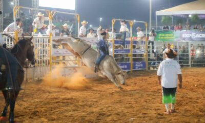 whatsapp image 2024 09 02 at 01.19.50 1 900×563 whatsapp image 2024 09 02 at 01.19.50 1 900x563