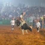 whatsapp image 2024 09 02 at 22.39.02