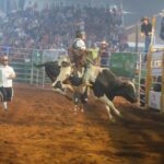 whatsapp image 2024 09 02 at 22.39.04