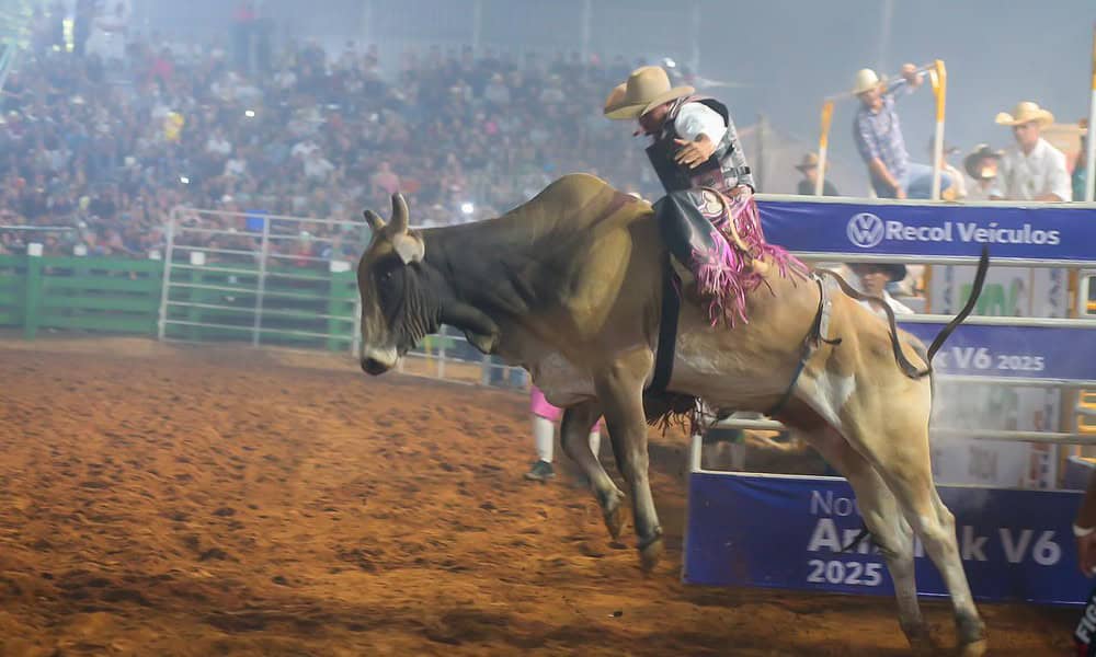 whatsapp image 2024 09 02 at 22.39.05 whatsapp image 2024 09 02 at 22.39.05