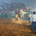 whatsapp image 2024 09 02 at 22.39.09