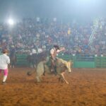 whatsapp image 2024 09 02 at 22.39.12