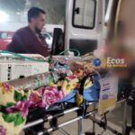 whatsapp image 2024 09 03 at 02.01.11 (1)