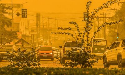 whatsapp image 2024 09 03 at 12.01.46 900×560 whatsapp image 2024 09 03 at 12.01.46 900x560