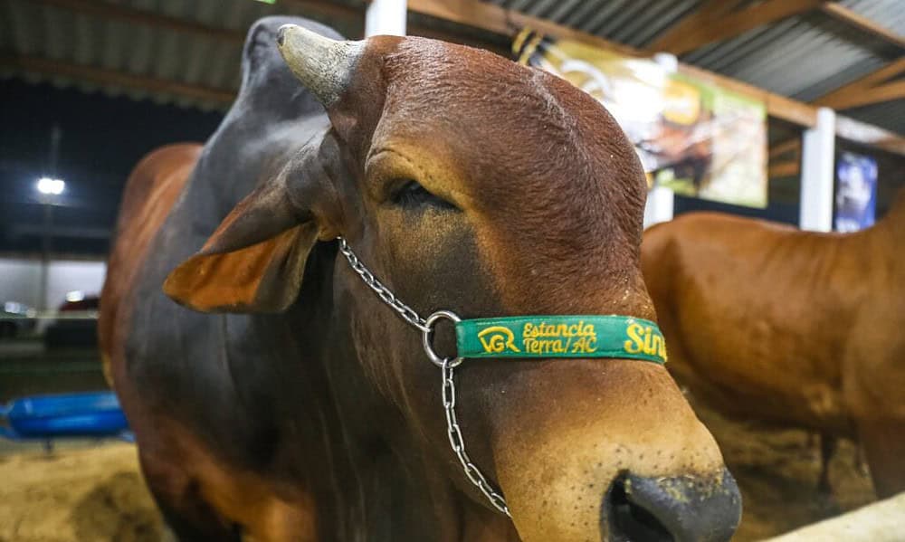 whatsapp image 2024 09 04 at 22.26.46 1 1024×683 whatsapp image 2024 09 04 at 22.26.46 1 1024x683