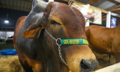 whatsapp image 2024 09 04 at 22.26.46 1 1024×683 whatsapp image 2024 09 04 at 22.26.46 1 1024x683