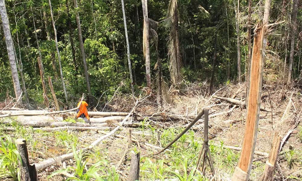 whatsapp image 2024 09 06 at 11.34.19