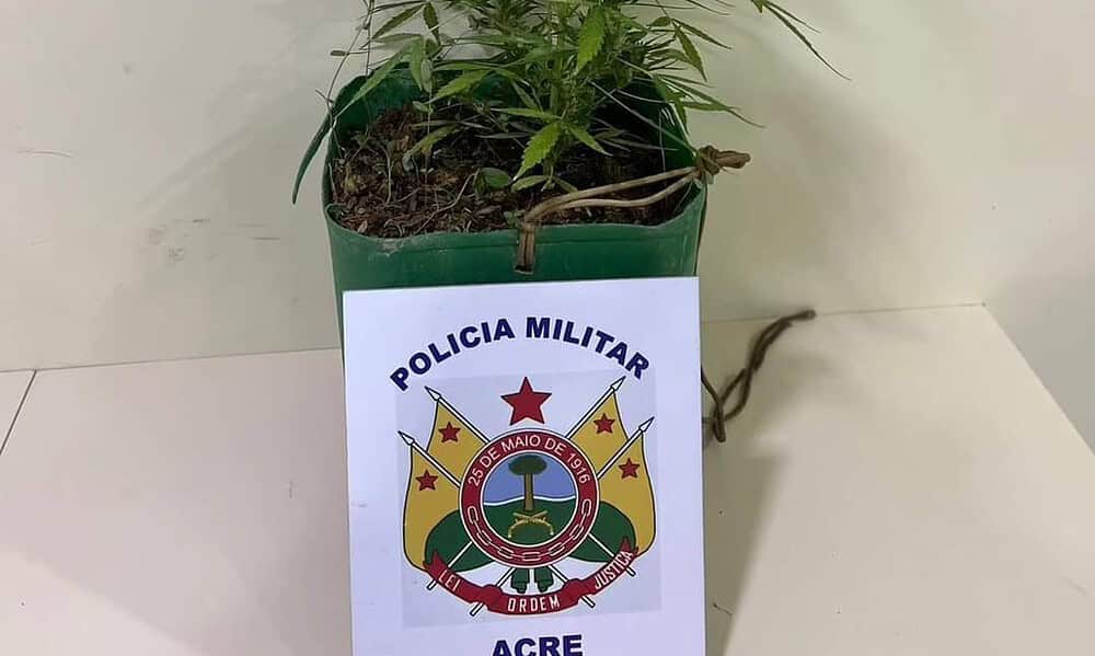 whatsapp image 2024 09 11 at 16.09.01 whatsapp image 2024 09 11 at 16.09.01