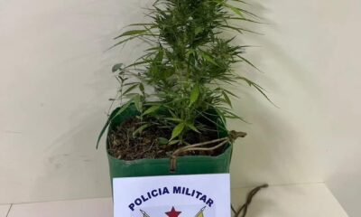 whatsapp image 2024 09 11 at 16.09.01 whatsapp image 2024 09 11 at 16.09.01