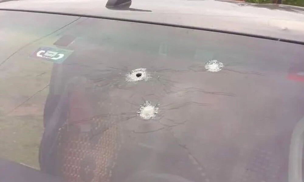 Abre-PERFIL-BRASIL-2024-10-28T161707.061 Abre-PERFIL-BRASIL-2024-10-28T161707.061