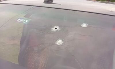 Abre-PERFIL-BRASIL-2024-10-28T161707.061