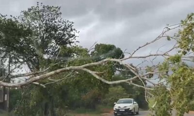 Captura-de-tela-2024-10-19-135356-900×425 Captura-de-tela-2024-10-19-135356-900x425