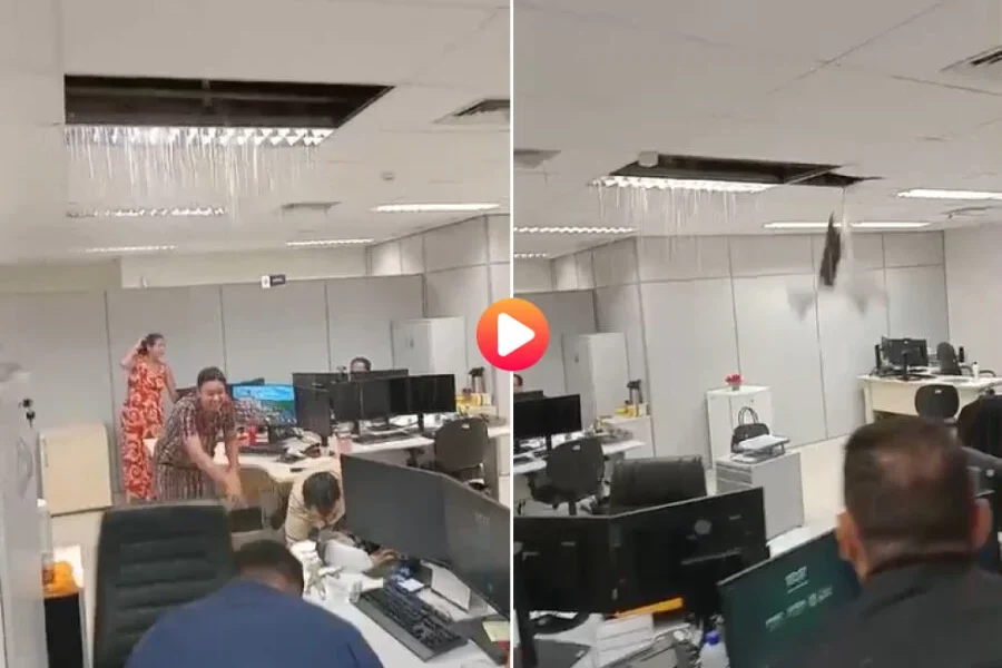 Frame-225-10-900×641 Frame-225-10-900x641