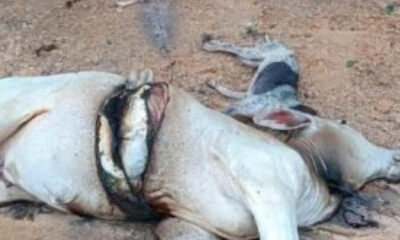 Frame-225-37-900x641