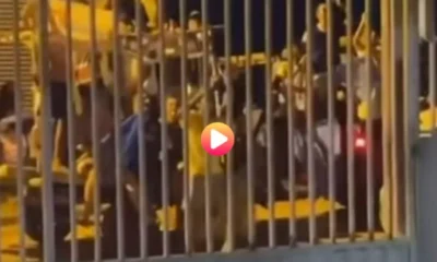 Frame-225-4-900×641 Frame-225-4-900x641