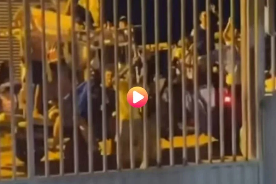 Frame-225-4-900×641 Frame-225-4-900x641