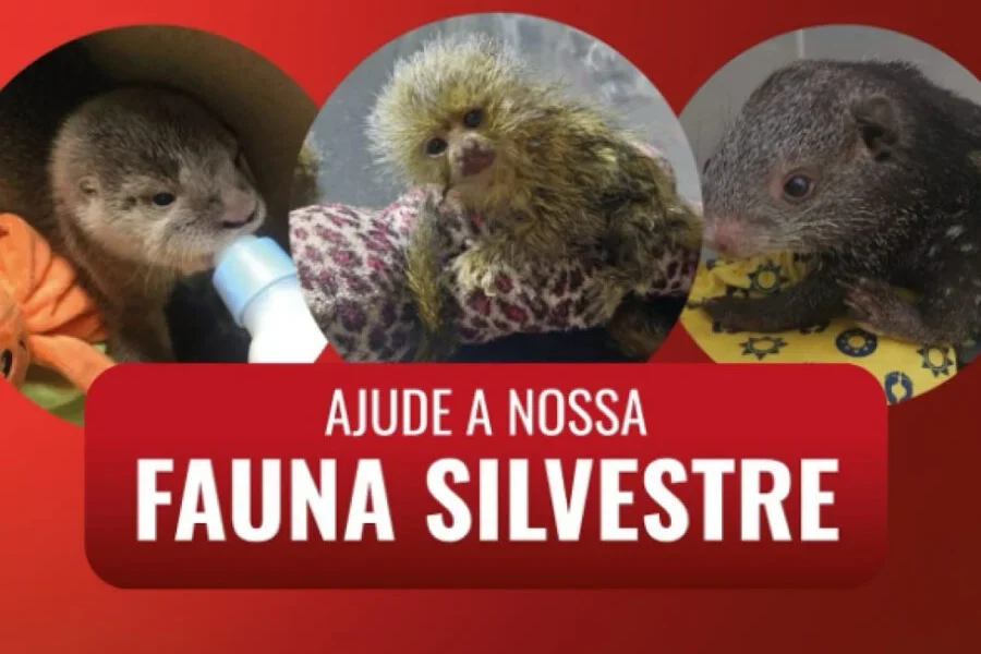 Frame-470-95-900×641 Frame-470-95-900x641