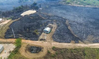 Casa aparece em meio a área de vegetação destruída pelo fogo em Mâncio Lima — Foto: Reprodução/Rede Amazônica Acre