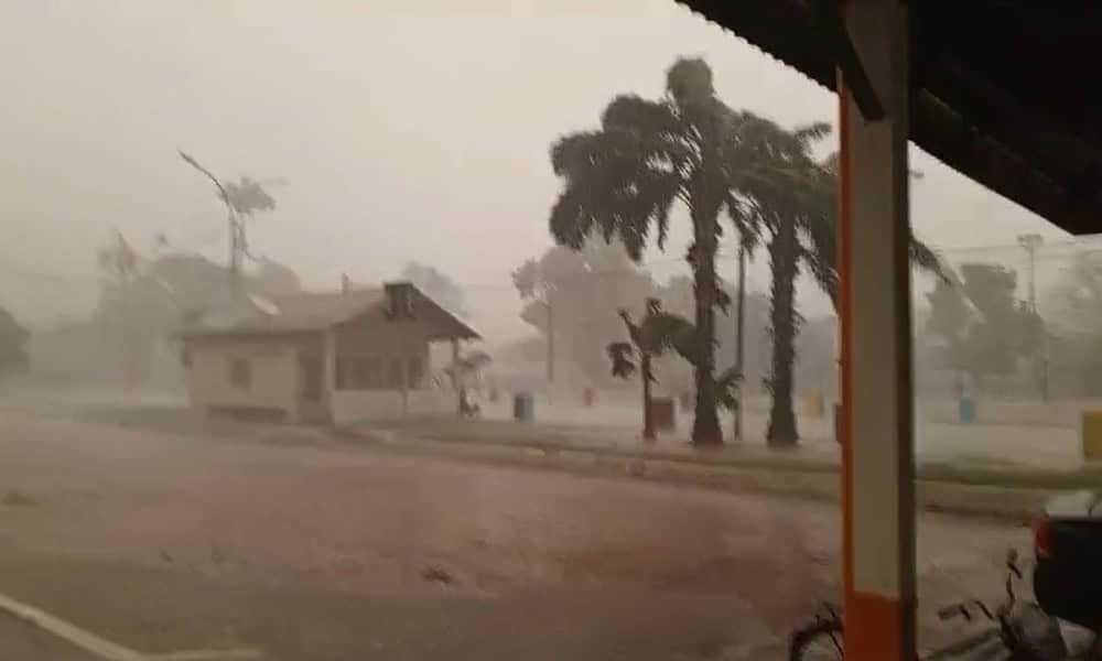 WhatsApp Image 2024-10-03 at 19.30.26