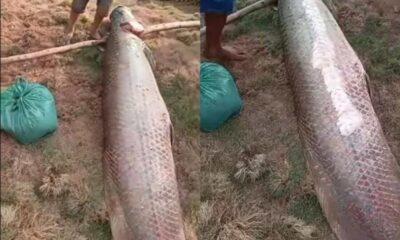 WhatsApp-Image-2024-10-14-at-14.55.33-900×666 FOTO: YACO NEWS/REPRODUÇÃO