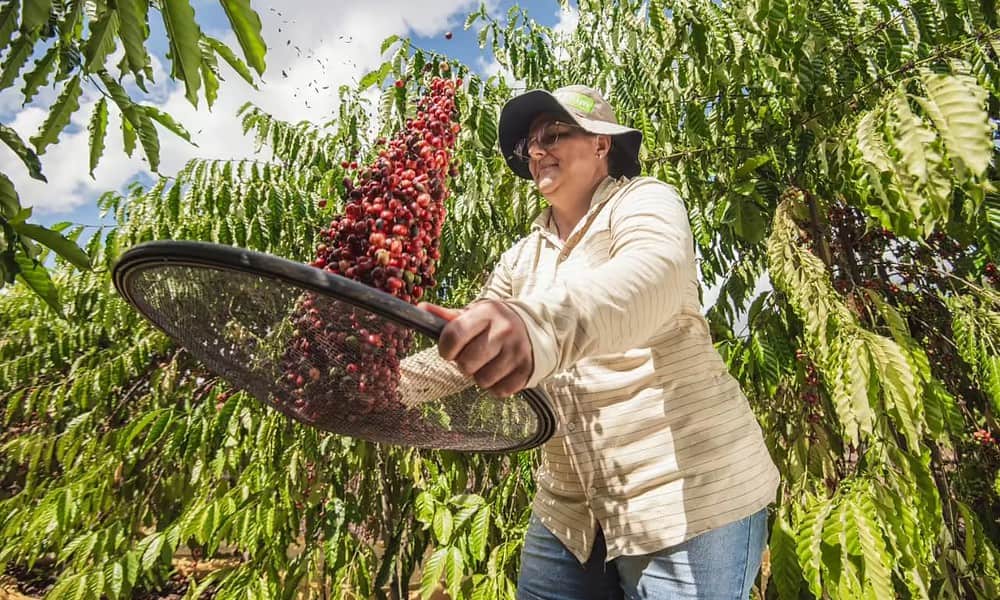 WhatsApp Image 2024-10-15 at 10.09.00 Eliane Lara, de Acrelândia – Foto: Cedida