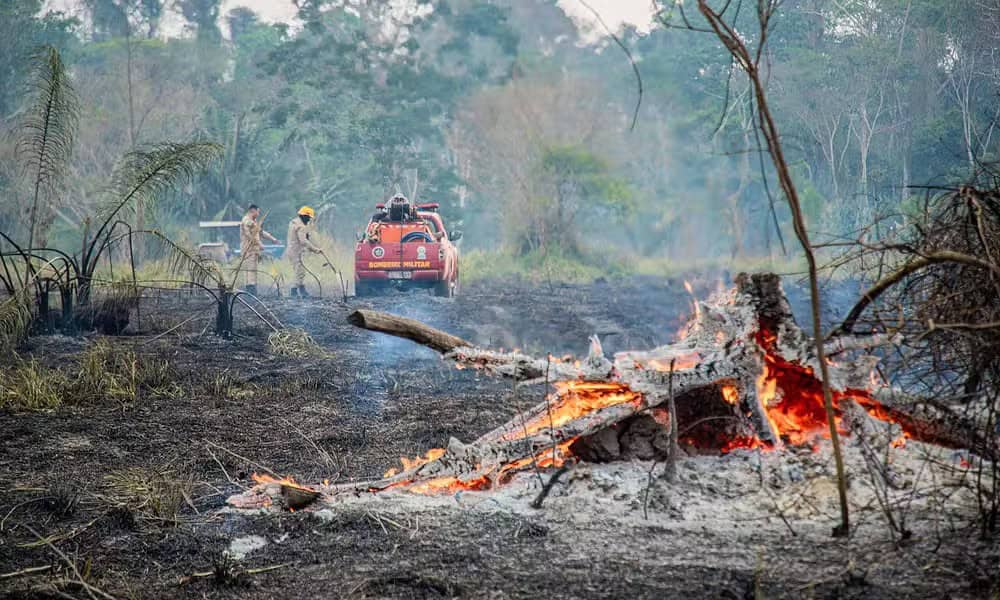 WhatsApp Image 2024-10-18 at 14.43.54 Queimadas em 2024 superam em 27% o ano passado — Foto: Neto Lucena/Secom