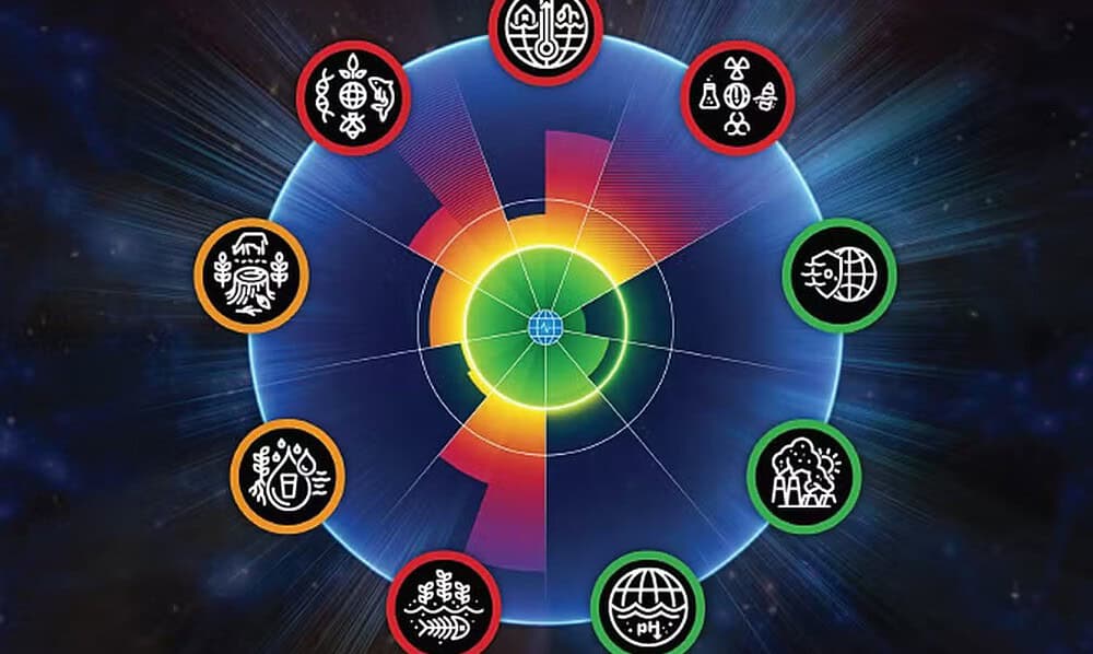 WhatsApp Image 2024-10-19 at 11.01.46 WhatsApp Image 2024-10-19 at 11.01.46