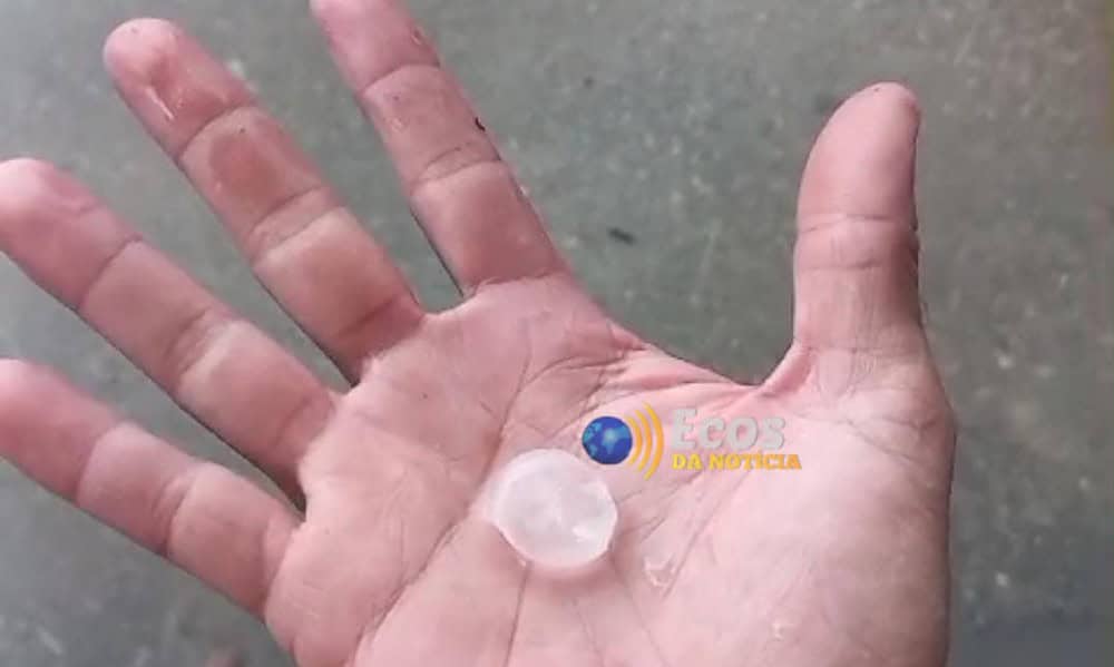 WhatsApp Image 2024-10-19 at 14.39.31 WhatsApp Image 2024-10-19 at 14.39.31