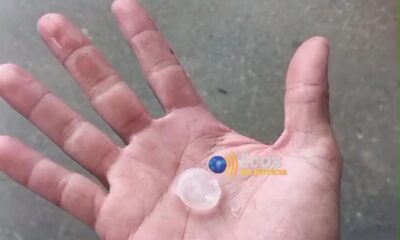 WhatsApp Image 2024-10-19 at 14.39.31 WhatsApp Image 2024-10-19 at 14.39.31