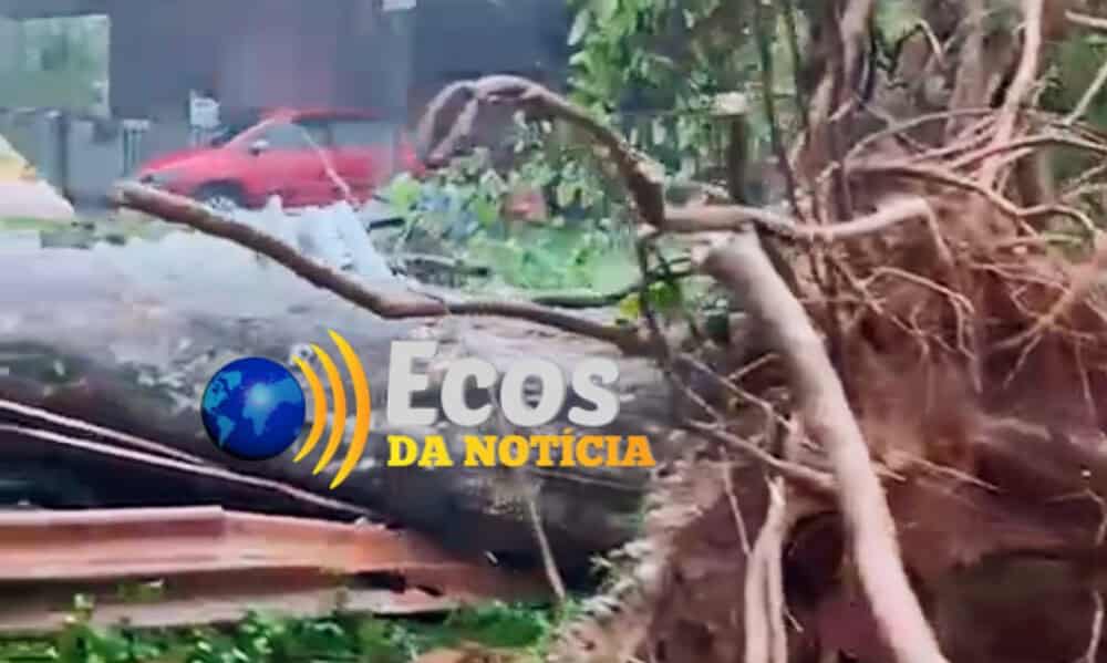 WhatsApp Image 2024-10-19 at 17.46.42 WhatsApp Image 2024-10-19 at 17.46.42