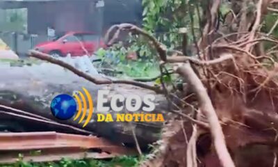 WhatsApp Image 2024-10-19 at 17.46.42 WhatsApp Image 2024-10-19 at 17.46.42