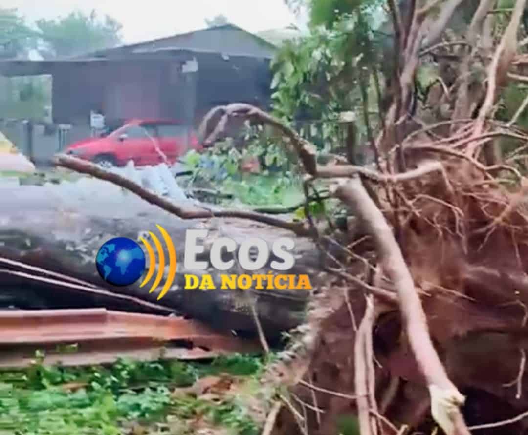 Temporal com granizo causa destruição em cidades na fronteira do Acre