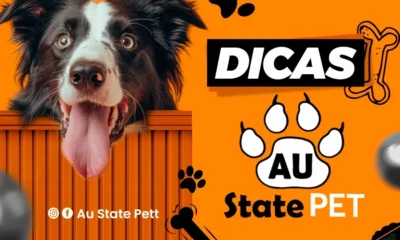 WhatsApp-Image-2024-10-31-at-04 WhatsApp-Image-2024-10-31-at-04