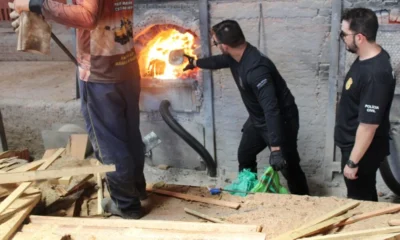 WhatsApp-Image-2024-10-31-at-13