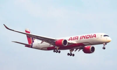 Avião da Air India (Foto: Reprodução do Instagram/@airindia)