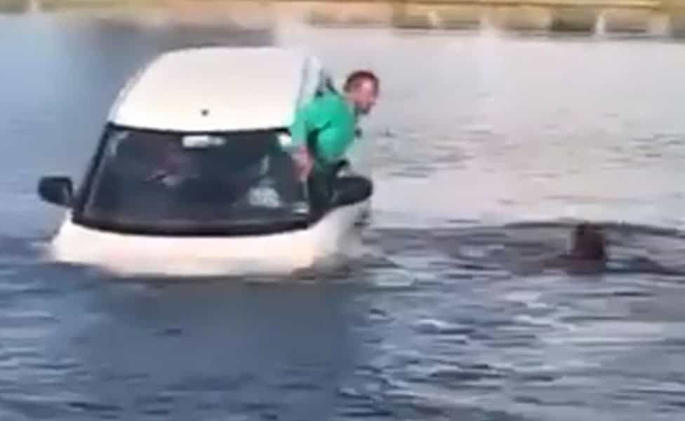 arcoirisfogo (1) Reprodução/Redes sociais