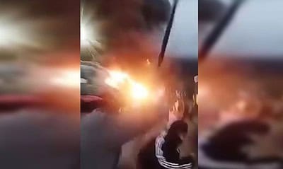 brigatoricdas brigatoricdas