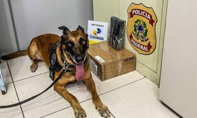 image0-31-900×674 Foto: Assessoria da PF/AC / Divulgação