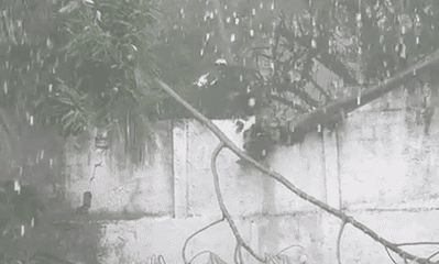 Foto: Vídeo/reprodução