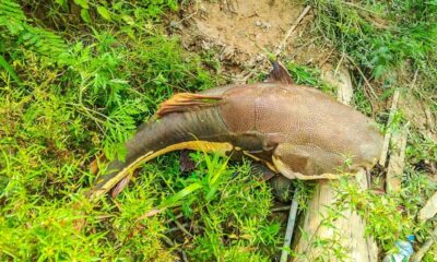 Foto: arquivo pessoal/cedida