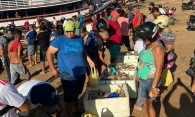 image_6487327-39-1000×600 image_6487327-39-1000x600