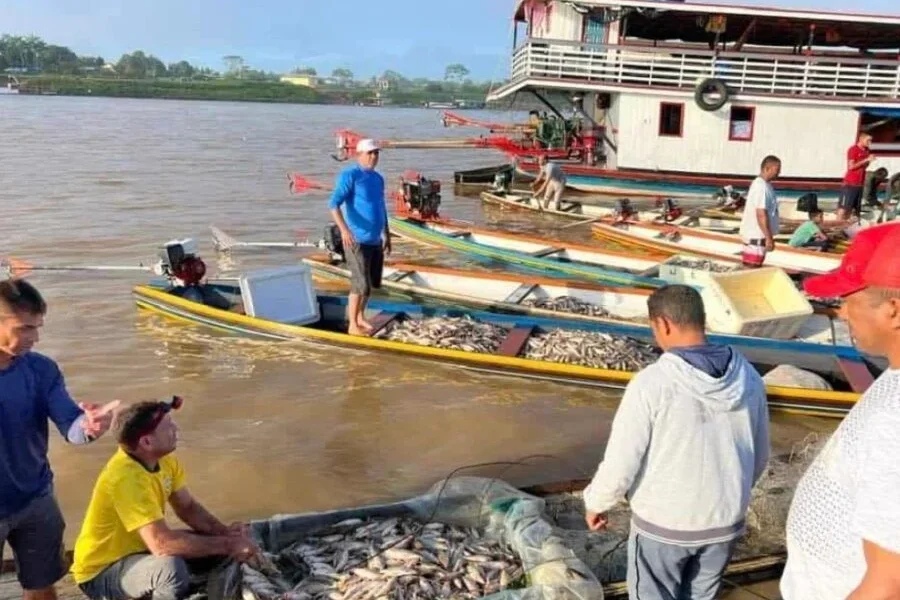 image_6487327-61-900x679