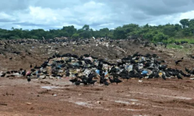 lixao-1-900×564 Foto: Anny Barbosa/G1