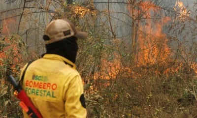 Bombeiro florestal observa incêndio na região de Concepción, Bolívia • 13/09/2024 REUTERS/Ipa Ibanez