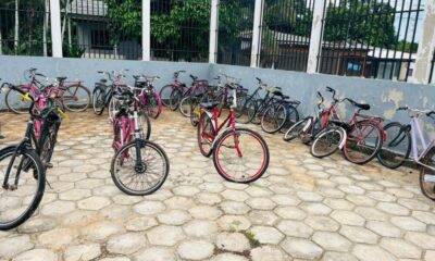 3007e5bd-0b2e-4735-b547-5545134040c5-1000x600