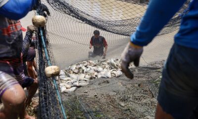 Foto: Ministério da Pesca e Aquicultura