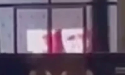 DEST2_1–e1731423593702-925×600 Screenshot