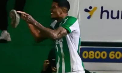 Frame-225-91-976x600